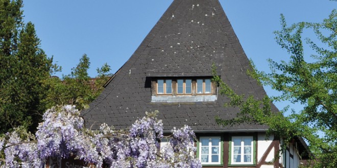 Laubach: Das Tor zum Vogelsberg