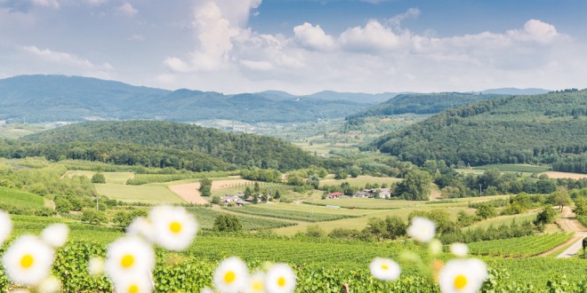 Im Herzen des Markgräflerlandes: Bad Bellingen