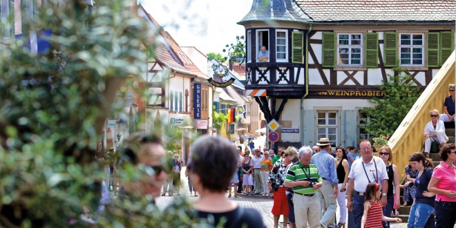 Deidesheim Erlebnis pur im „anderen Paradies“