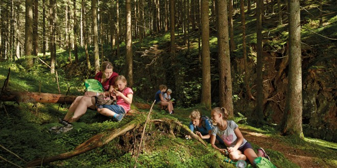 Der Nördliche Schwarzwald | Das musst Du erlebt haben…