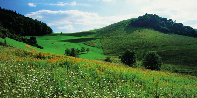 Ihringen am Kaiserstuhl