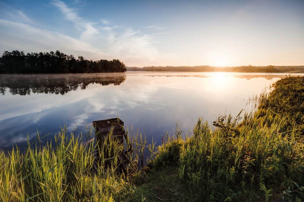 Lüneburger Heide Landschaft Meissendorf,  © Lüneburger Heide GmbH