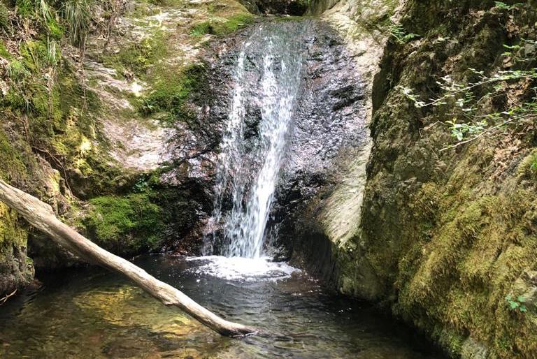 Mystische Orte im Schwarzwald