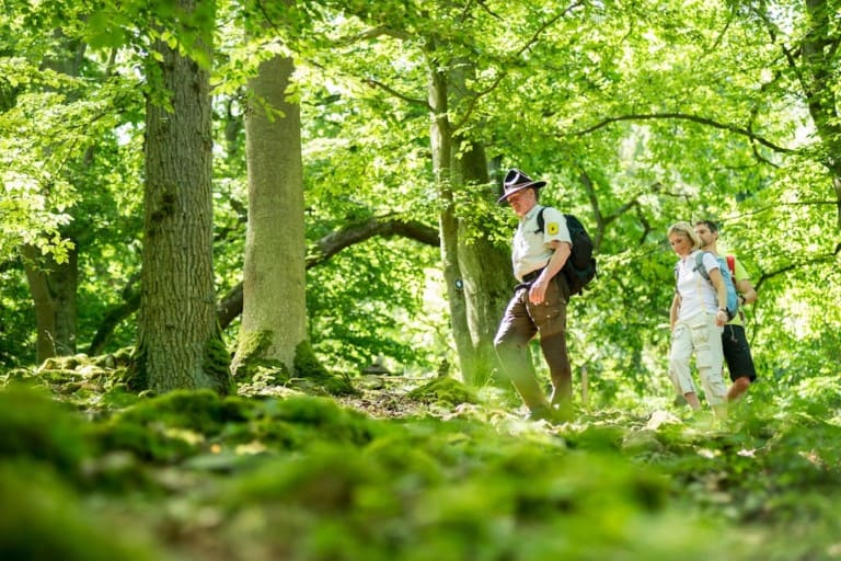 Der Nationalpark Kellerwald-Edersee lässt sich gut zu Fuß erkunden, sowohl auf eigene Faust als auch mit einem Ranger bei einer geführten Wanderung. (Foto: epr/Waldecker Land/Nationalpark Kellerwald-Edersee)