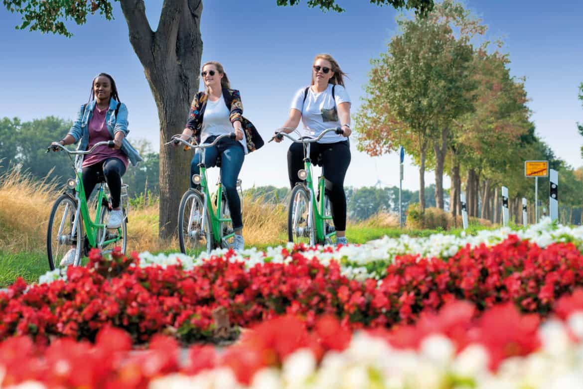 Ab ins Flachland: Radfahren am Niederrhein