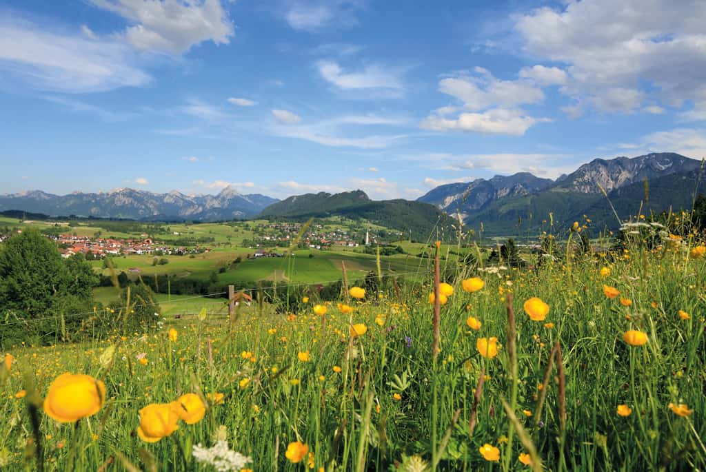 Urlaub im Allgäu: Pfronten